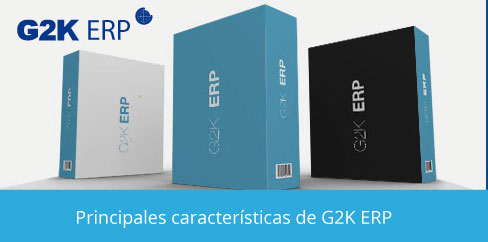 g2k erp